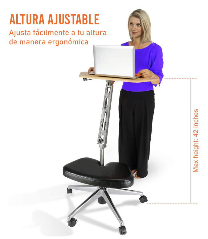 Soporte Para Monitor LCD Doble