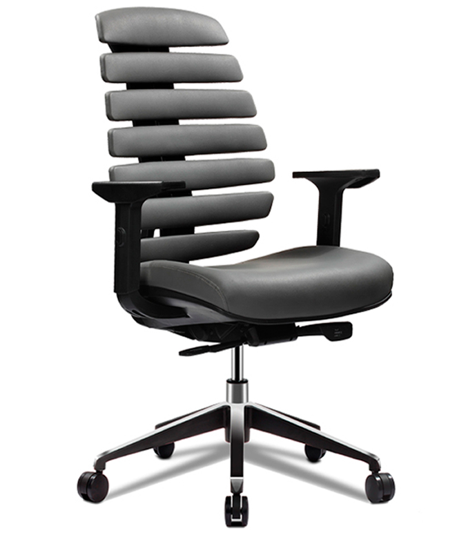 Muebles para Gobierno